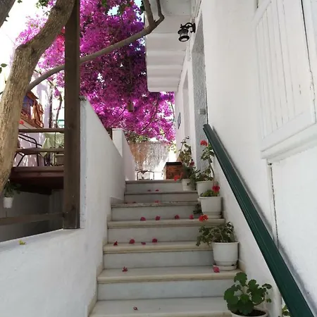 酒店 Syrianos Naxos City